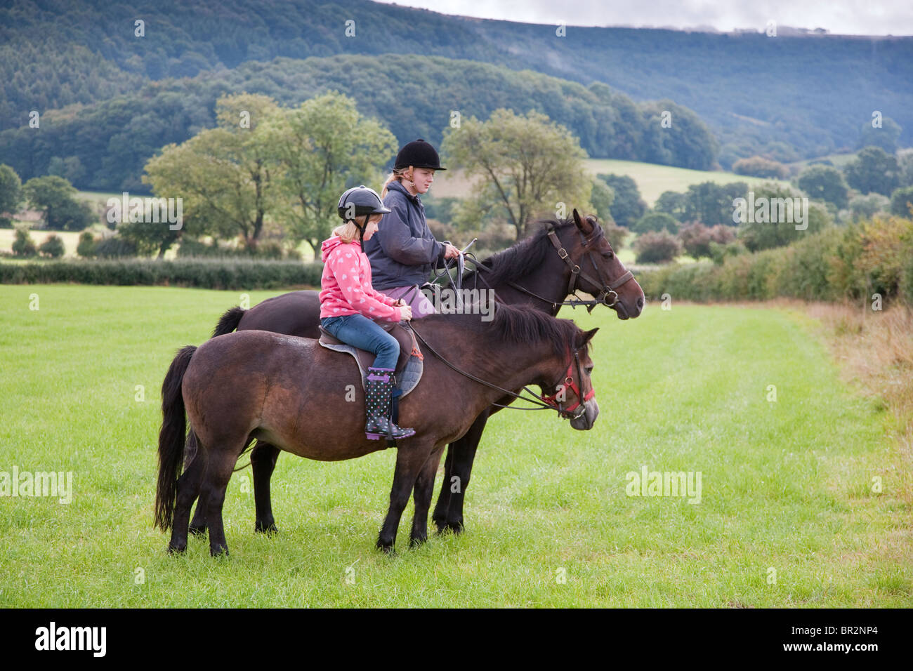 Pony treking nel North Yorkshire Foto Stock