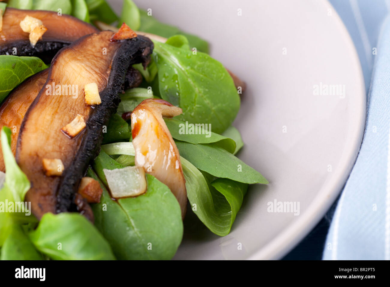 Caldo insalata di funghi su un letto di lattuga. Foto Stock