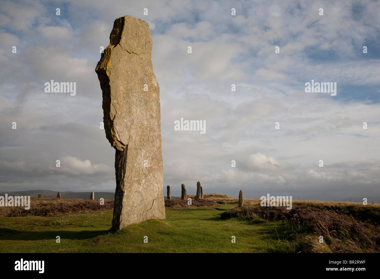 Close-up di una delle pietre nell'anello di Brodgar nelle isole di Orkney in Scozia Foto Stock