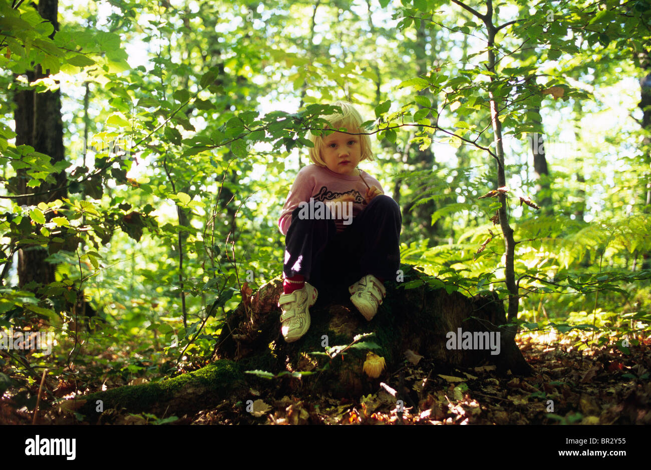 Bambina in tarda estate forest Foto Stock