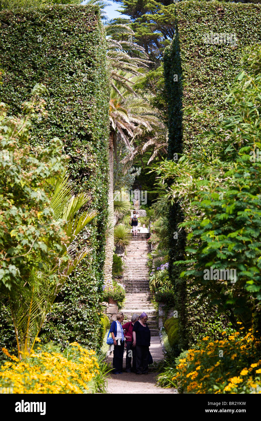 Abbazia tropicale giardino, Tresco, Isole Scilly Foto Stock