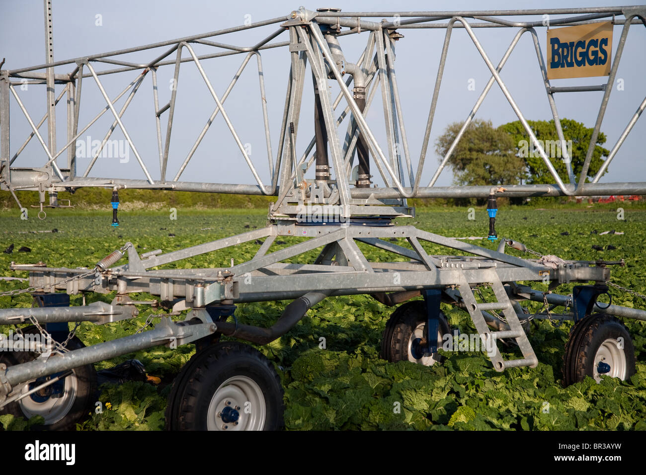 Tubi di irrigazione e sistemi e macchine per il giardinaggio di mercato aziende,a Tarleton, Preston, Regno Unito Foto Stock