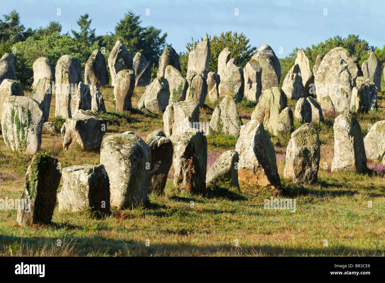Celebre monumento a Carnac allineamento in Bretagna, Finisterre, Francia Foto Stock