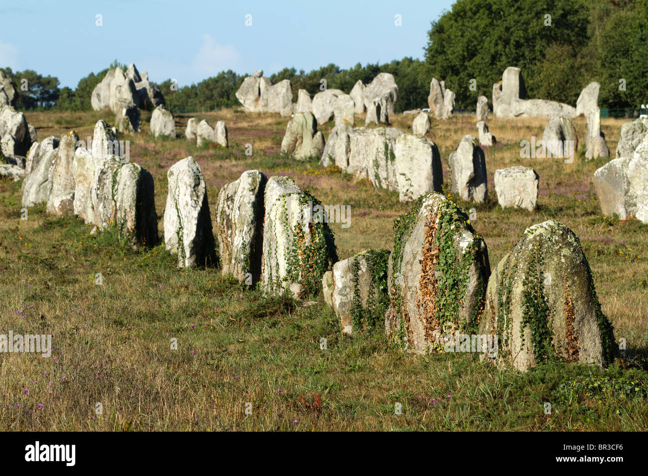 Celebre monumento a Carnac allineamento in Bretagna, Finisterre, Francia Foto Stock
