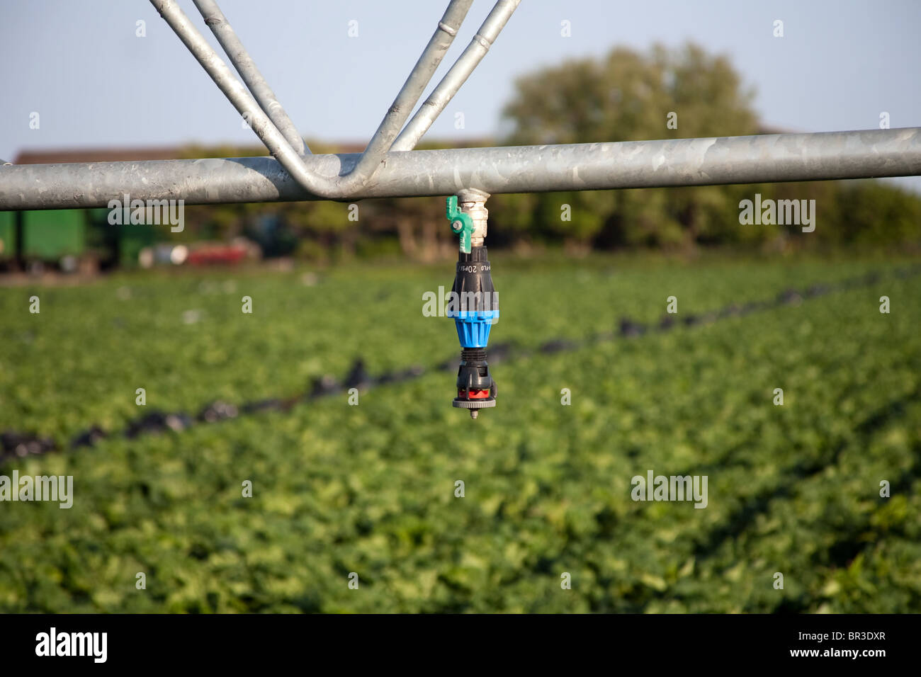 Irrigazione di spruzzatore di tubazioni e sistemi e macchine per il giardinaggio di mercato aziende,a Tarleton, Preston, Regno Unito Foto Stock