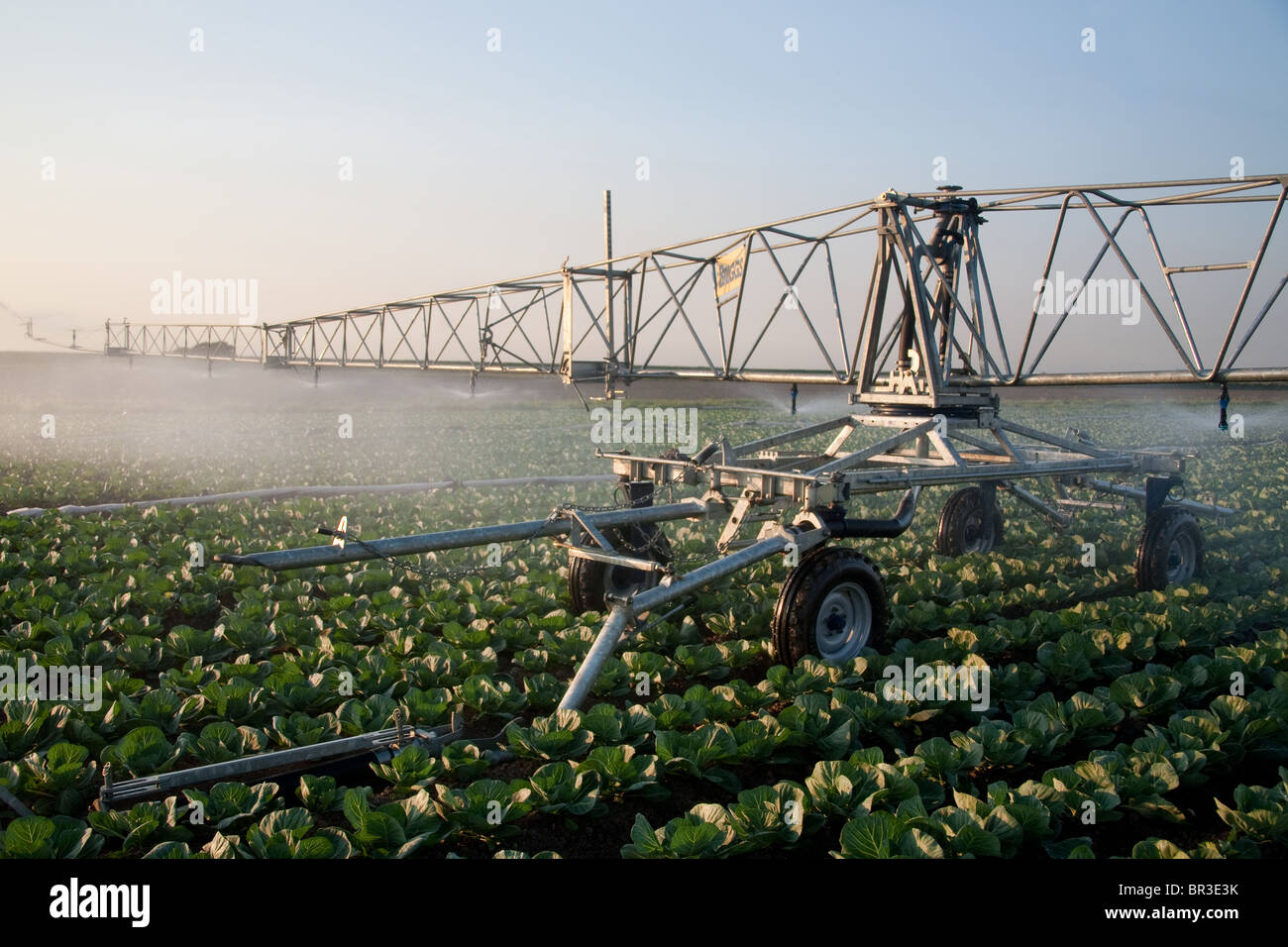 Tubi di irrigazione e sistemi e macchine per il giardinaggio di mercato aziende agricole a Tarleton, Preston, Regno Unito Foto Stock