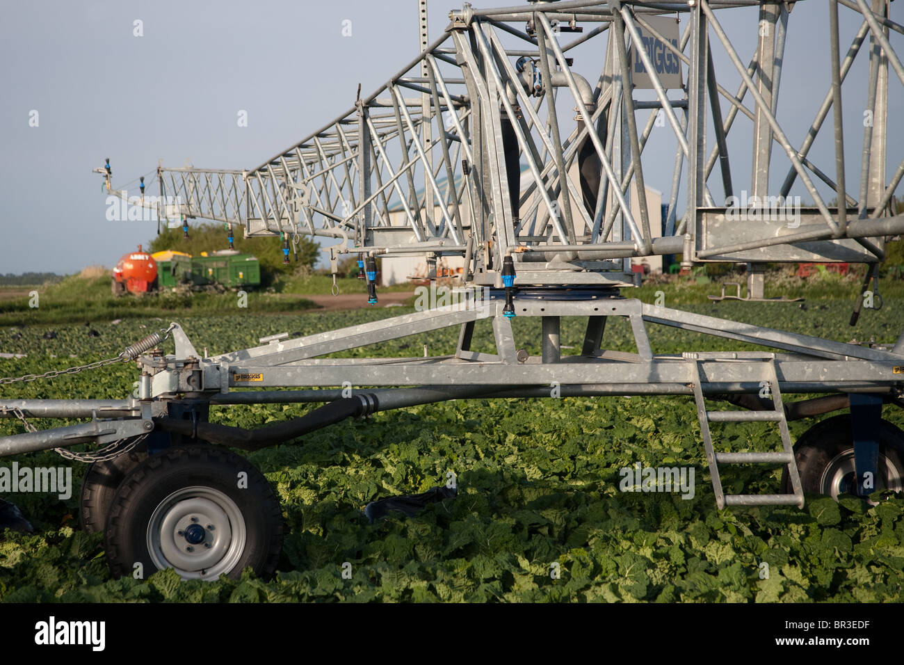 Tubi di irrigazione e sistemi e macchine per il giardinaggio di mercato aziende,a Tarleton, Preston, Regno Unito Foto Stock