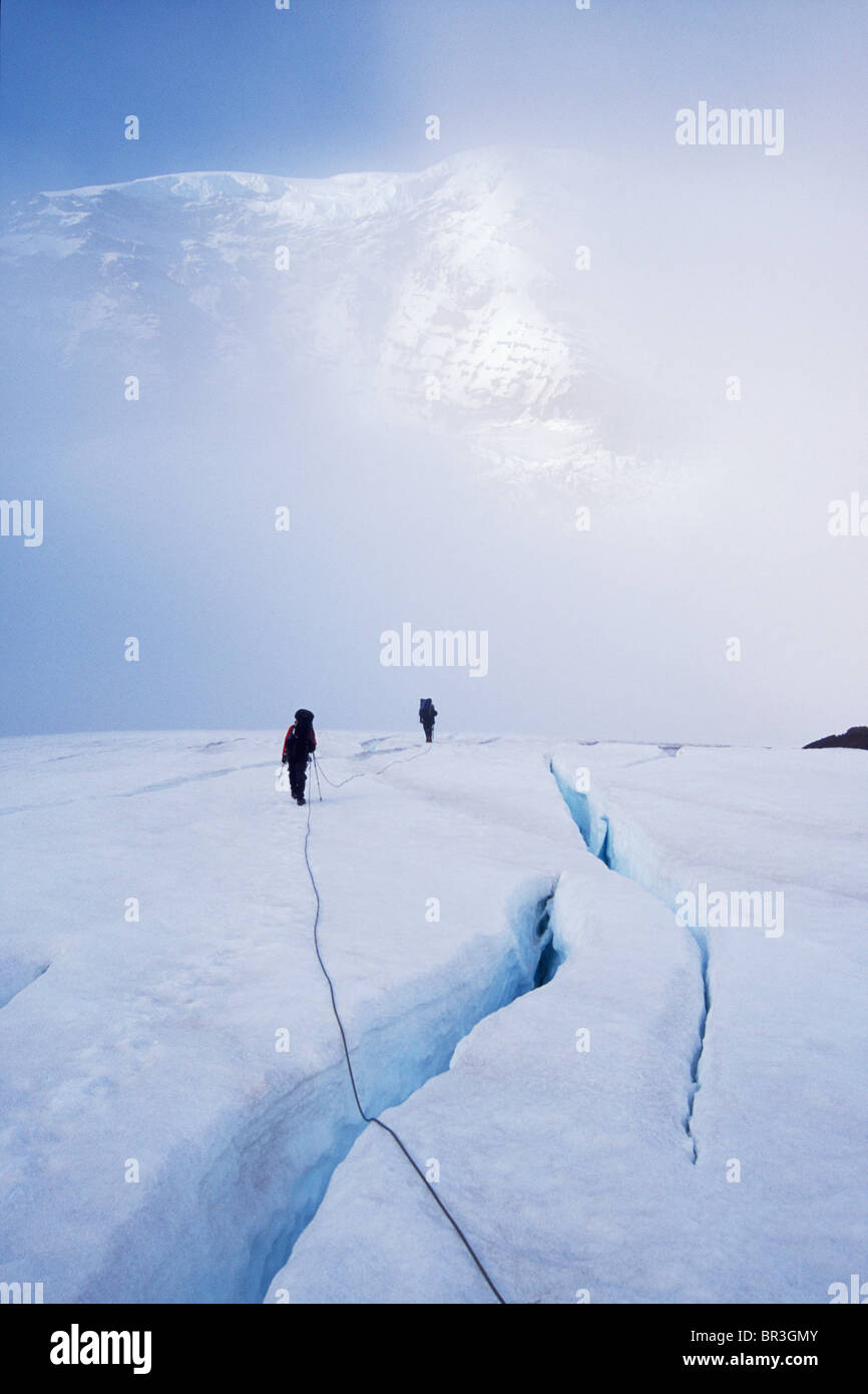 Gli alpinisti incrocio pericoloso crepacci nella nebbia su Mt. Rainier, Washington Foto Stock