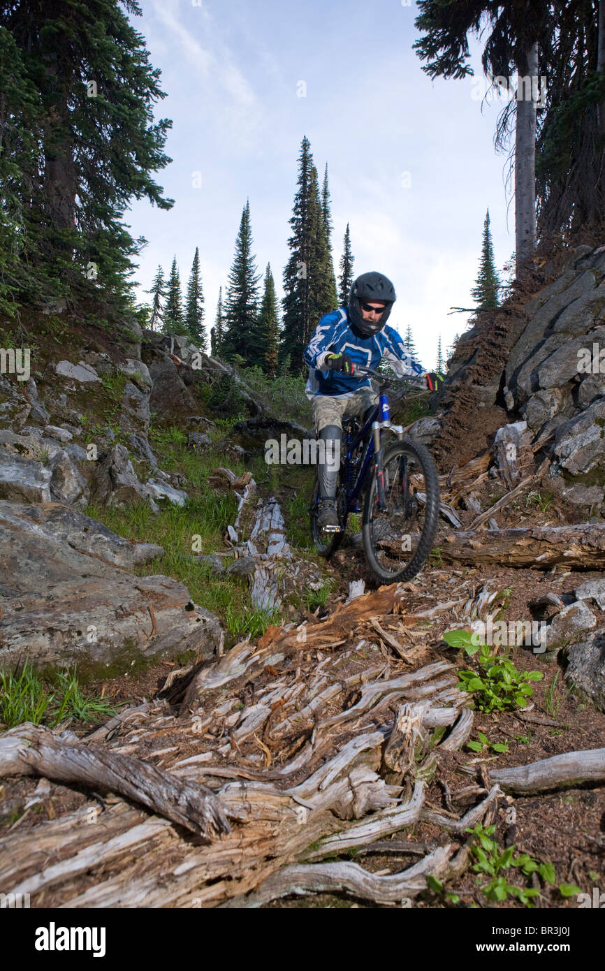 Percorsi in bicicletta in prato alpino, Sol Mountain, BC Foto Stock