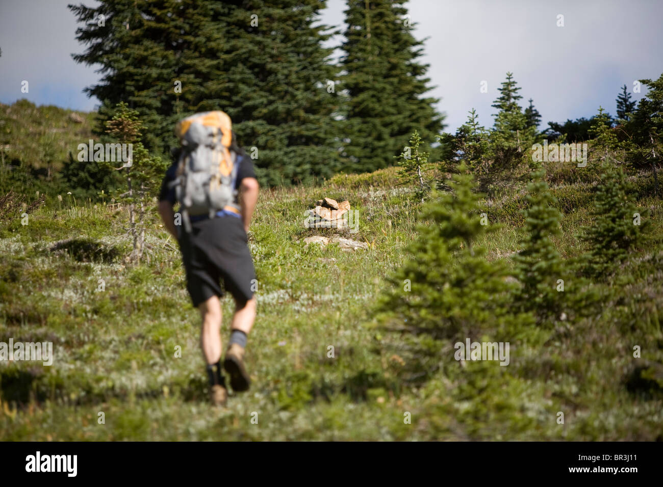 L'uomo escursioni attraverso il prato alpino, Sol Mountain, BC Foto Stock