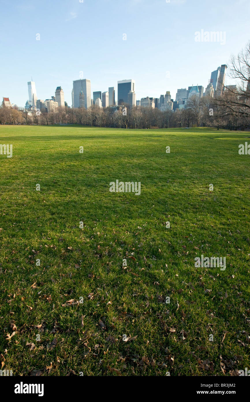 Sheep Meadow nel Central Park di New York City Foto Stock