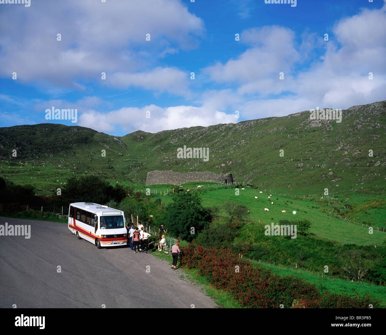 Killarney,Co Kerry,l'Irlanda;tour bus viaggiano lungo il Ring of Kerry Trail Foto Stock