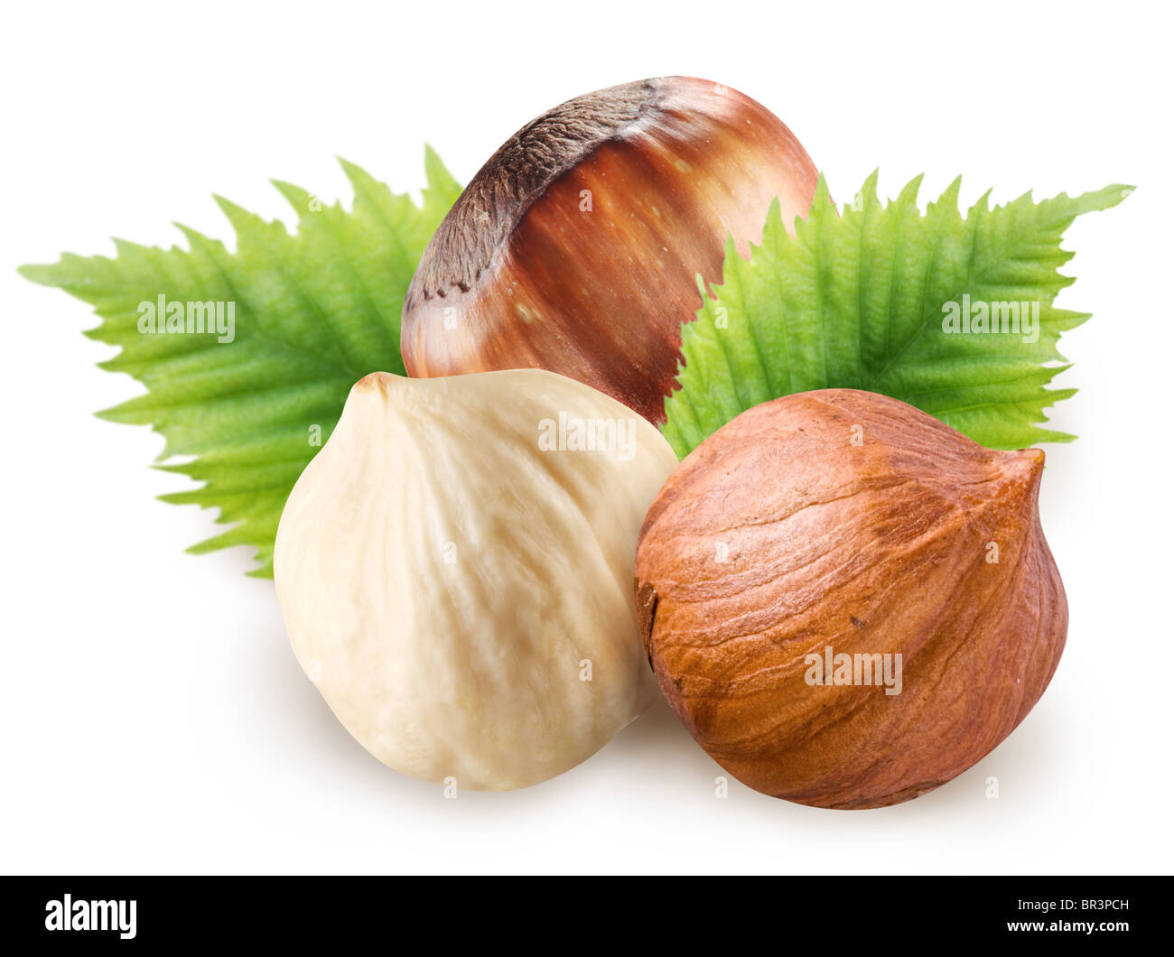 Gruppo di nocciole con foglie isolate su un bianco. Foto Stock