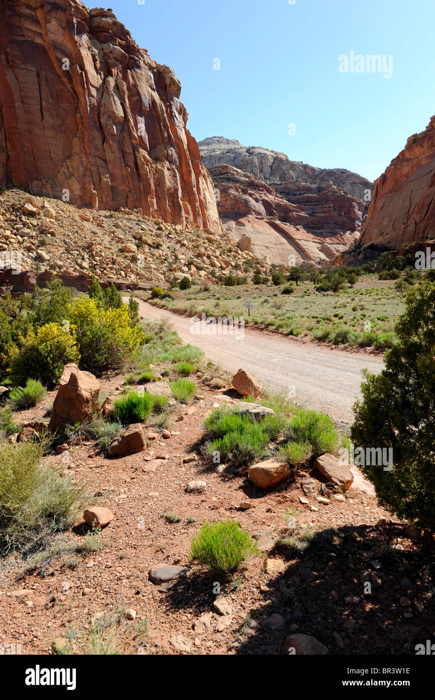 Capitol Gorge Area Capitol Reef National Park nello Utah Foto Stock