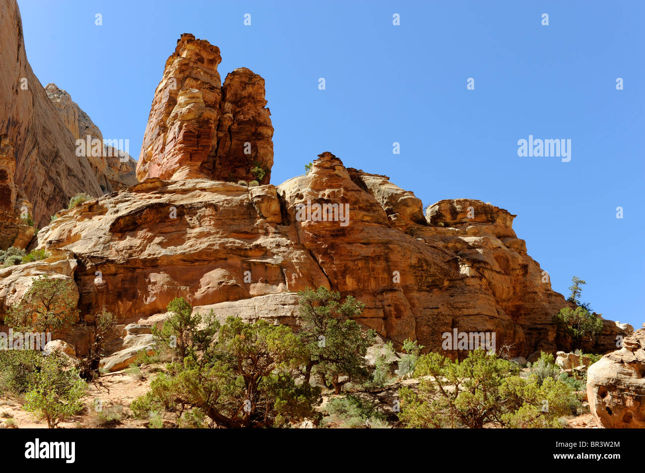 Capitol Gorge Area Capitol Reef National Park nello Utah Foto Stock