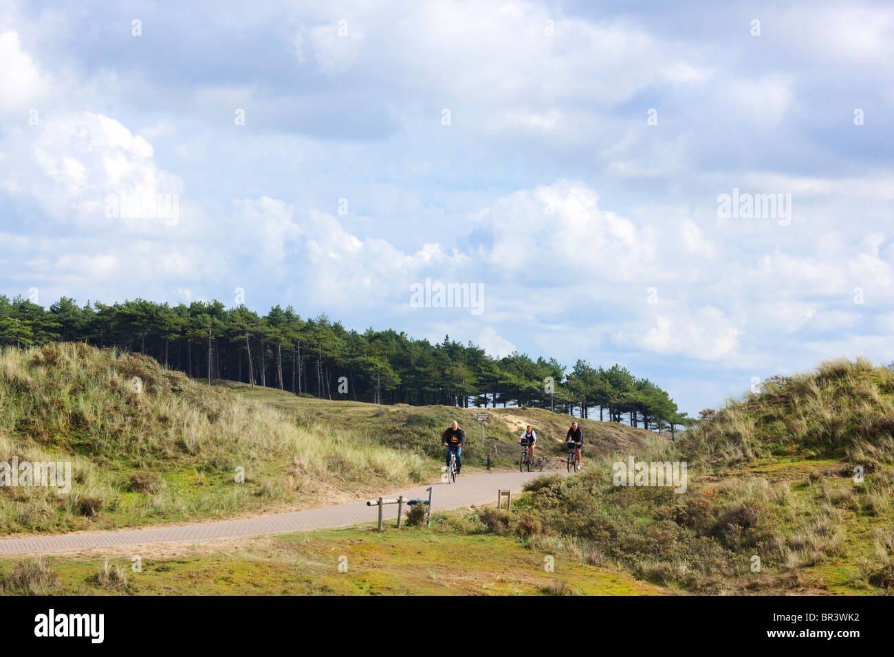 Percorso in bicicletta in Kennemerduinen, la parte centrale del Sud Kennemerland National Park riserva naturale nei Paesi Bassi. Foto Stock