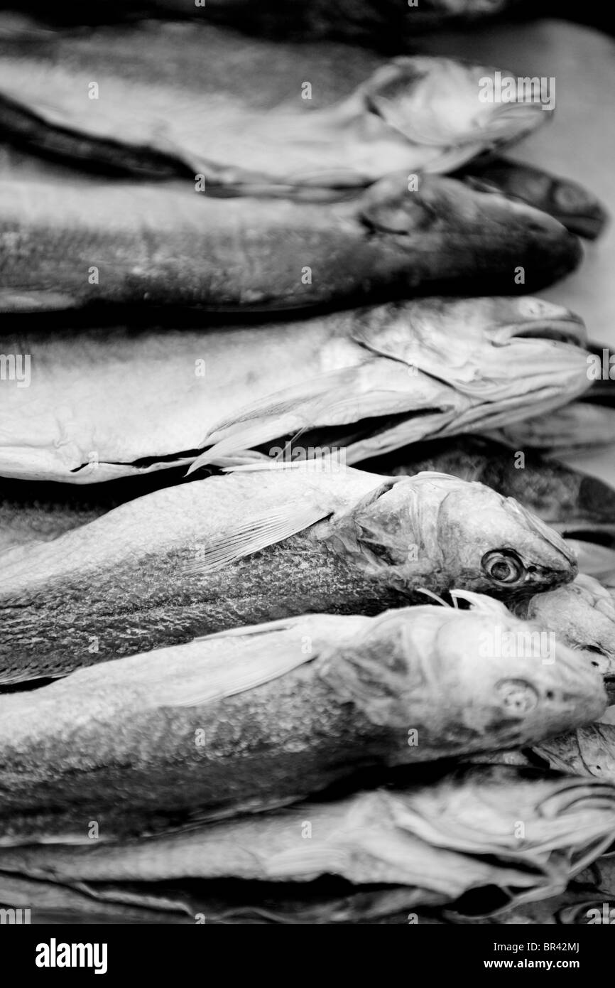 Pesci secchi in un mercato nel porto di Aberdeen, Hong Kong, Cina. Foto Stock