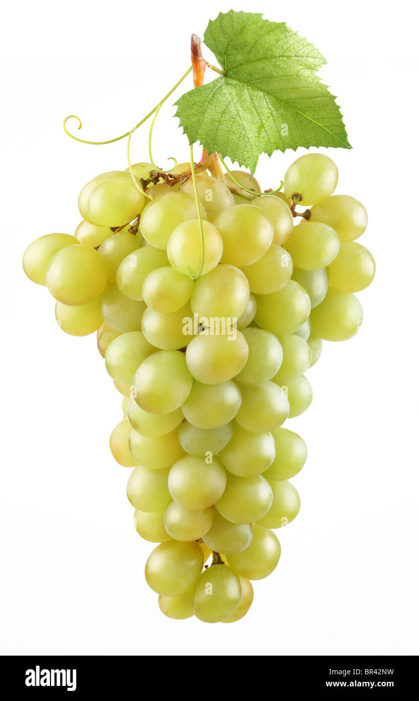 Grappolo di uva matura su sfondo bianco Foto Stock