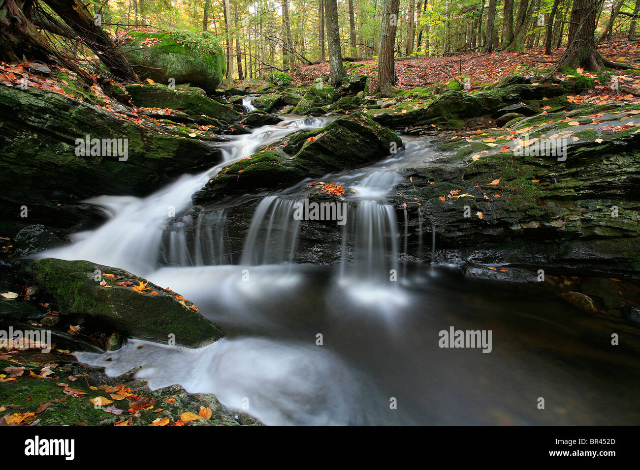 Cascata in autunno boschi Foto Stock