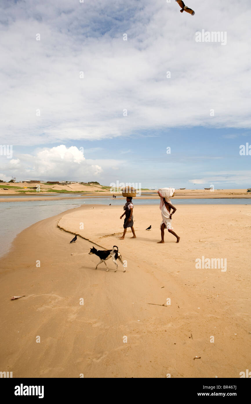 Due donne indiane stanno portando un cesto di pesce sulla loro testa e piedi per il villaggio di pescatori sulla spiaggia. Foto Stock