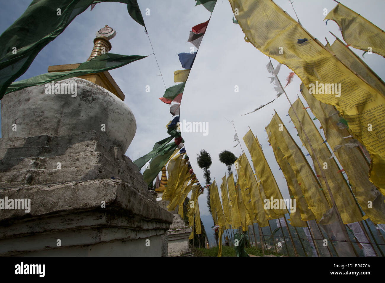 Stupa e bandiere del sangachoeling gompa Foto Stock