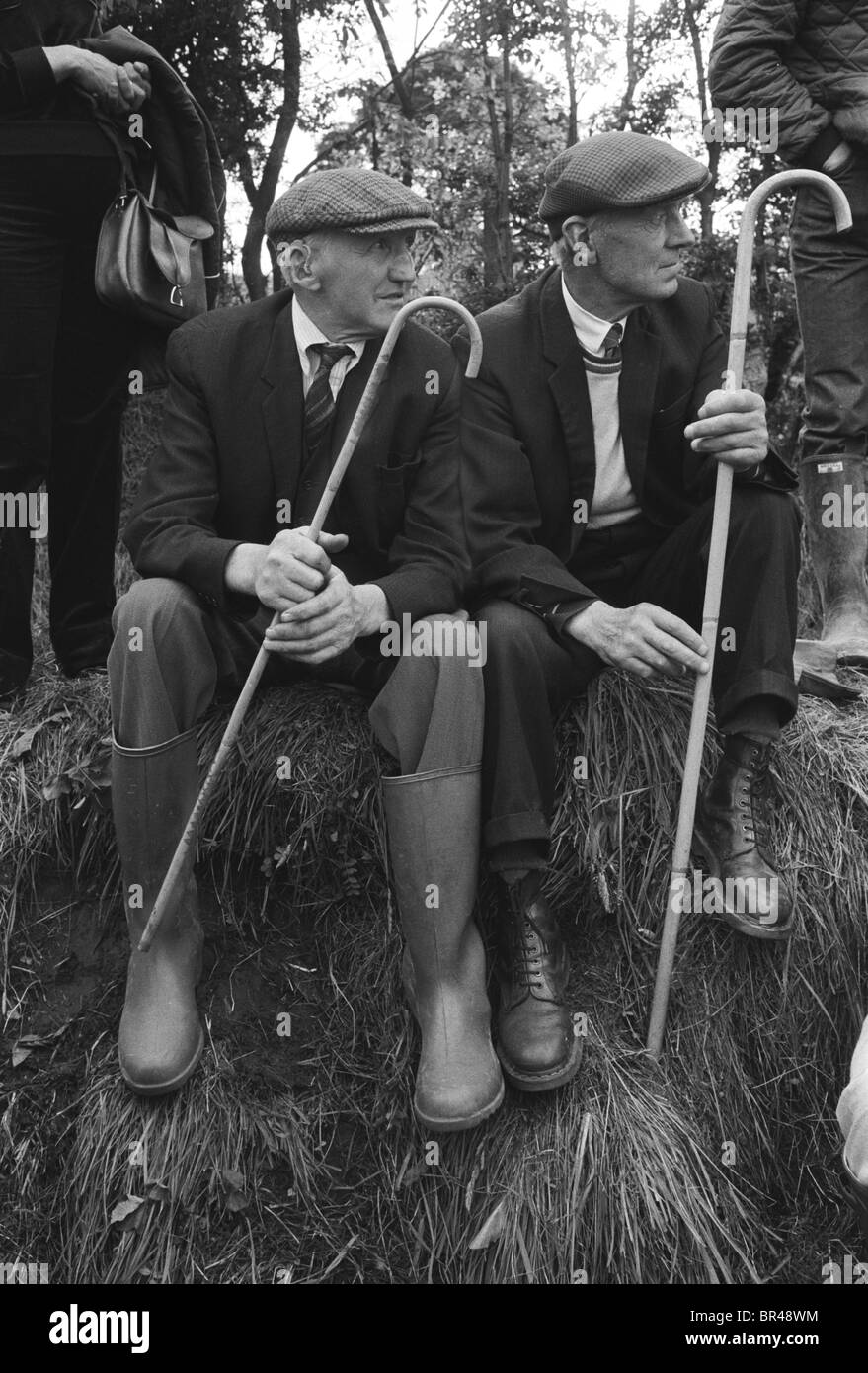 I contadini del Lake District portano pastori truffatori alla fiera di Appleby Horse, osservando i cavalli in mostra. (Cioè cavallo in vendita) Appleby in Cumberland 1981 Inghilterra. Regno Unito 1980s 1981 HOMER SYKES Foto Stock