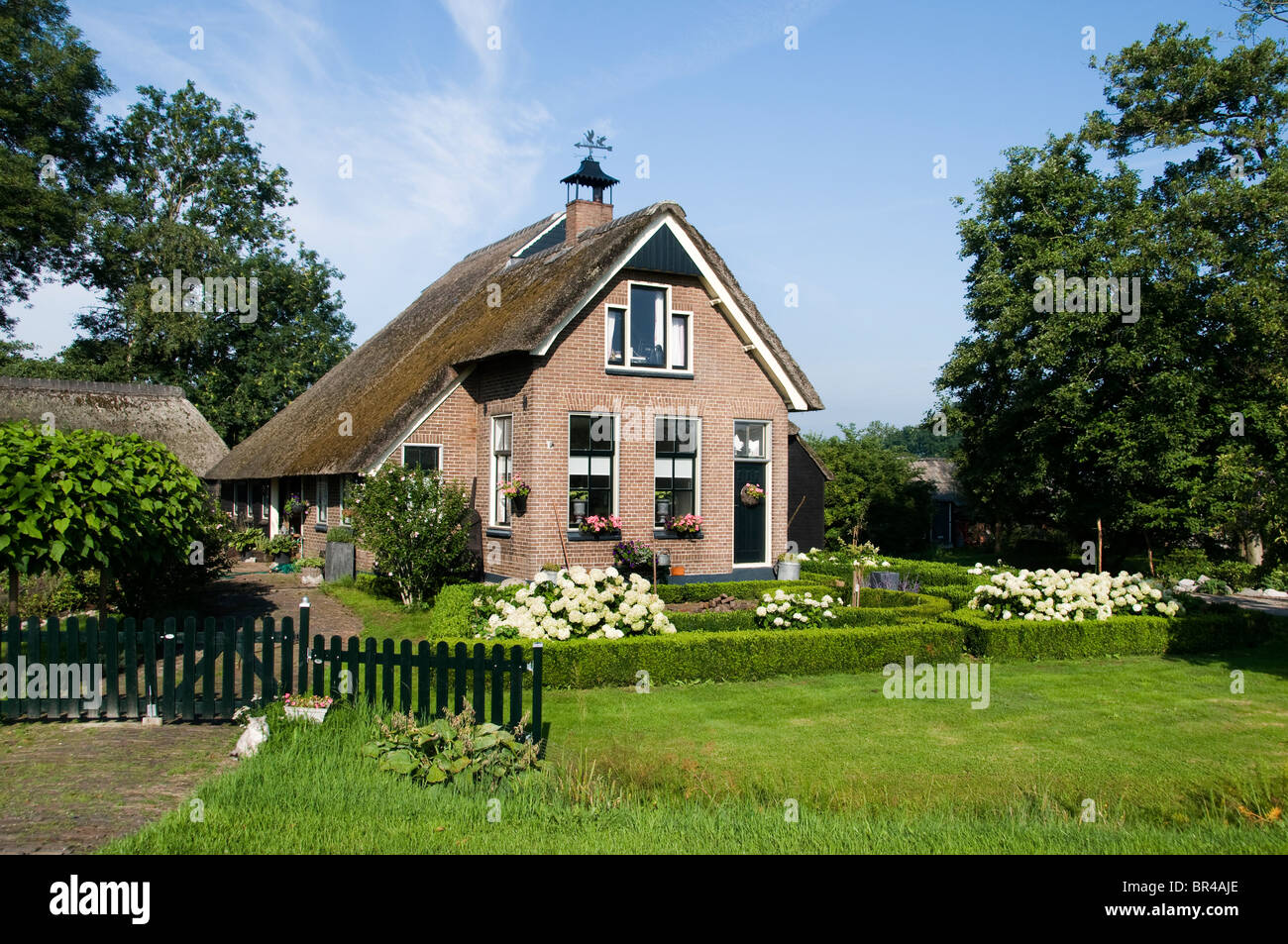 Weerriben Friesland Fryslan Paesi Bassi Farm Foto Stock