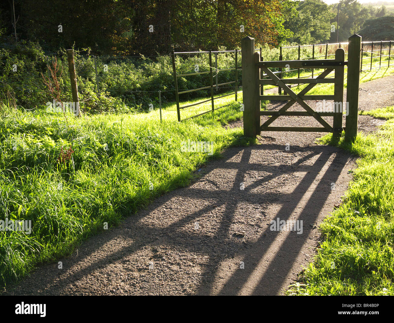 Cancello in legno getta una lunga ombra lungo un percorso nel sole del tardo pomeriggio Foto Stock