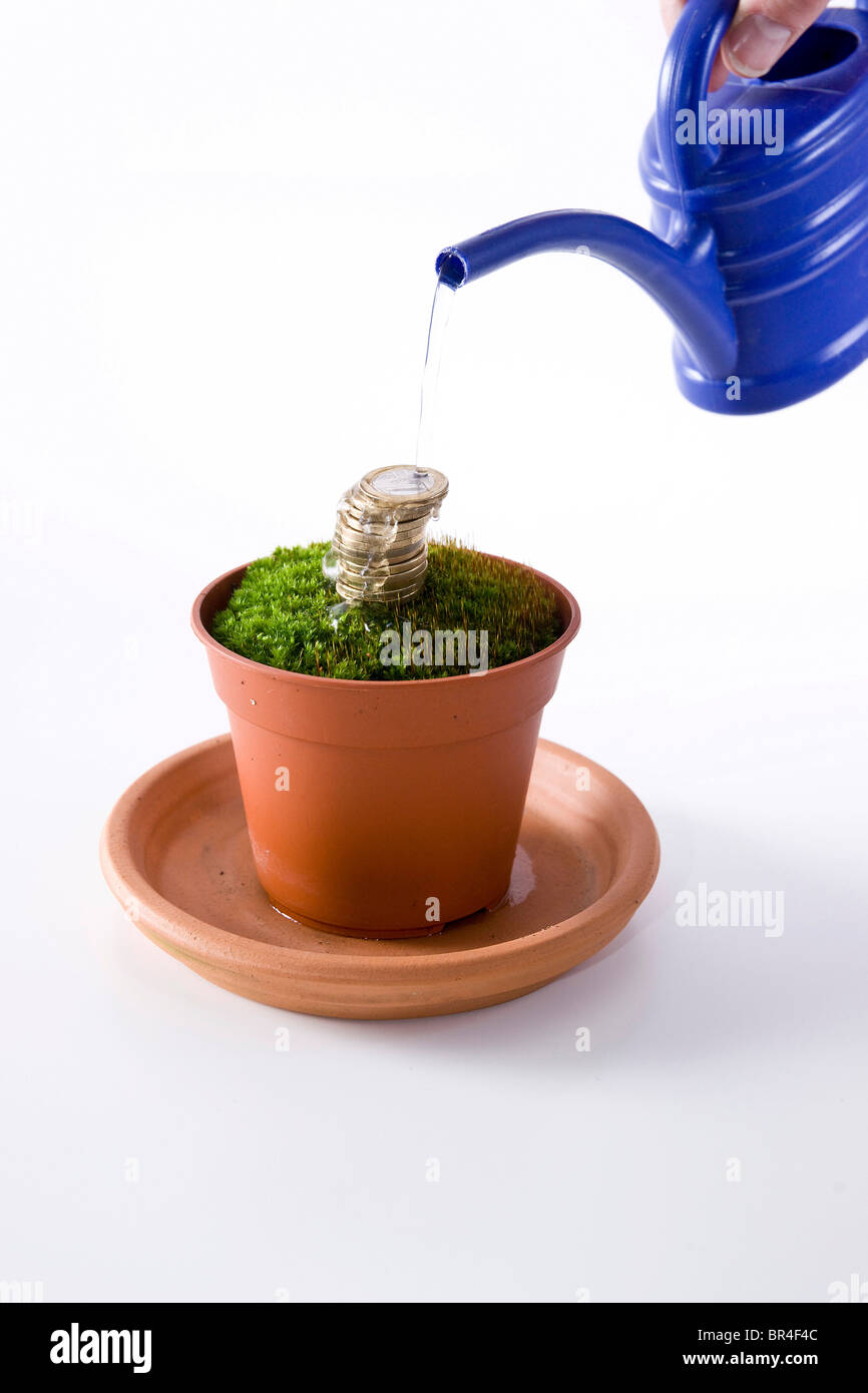 Monete in un vaso di fiori venivano innaffiate Foto Stock