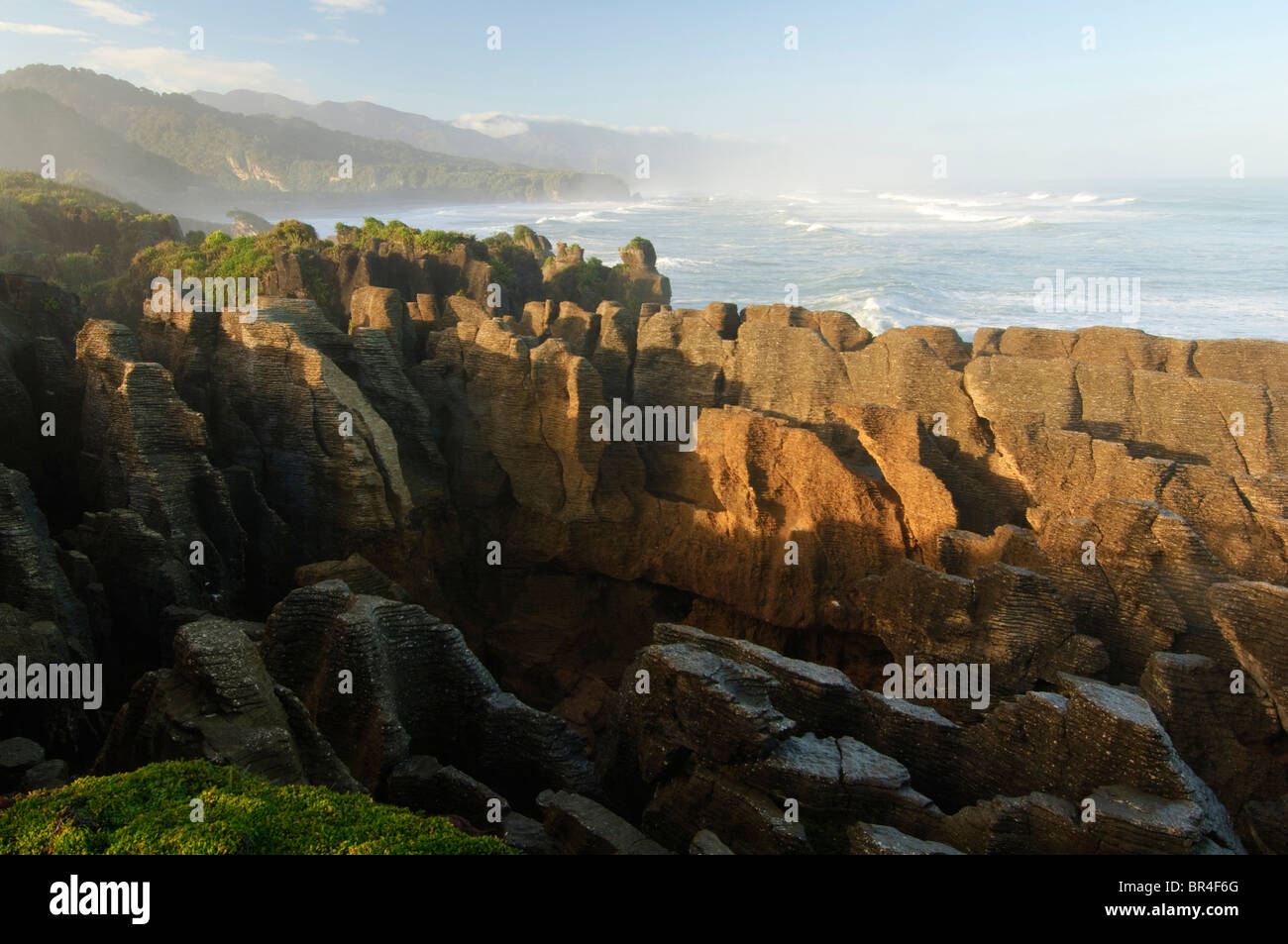 Nuova Zelanda, Isola del Sud, Paparoa National Park. Costa al Pankake Rocks. Foto Stock