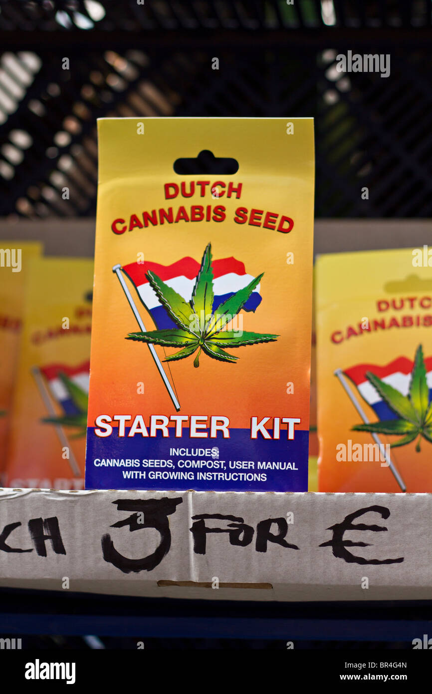 Olandese di semi di cannabis starter kit per la vendita al mercato dei fiori di Amsterdam, Olanda Foto Stock