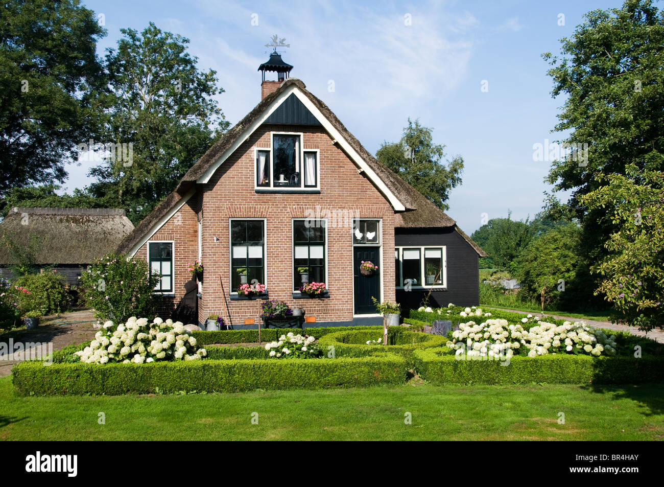 Weerriben Friesland Fryslan Paesi Bassi Farm Foto Stock