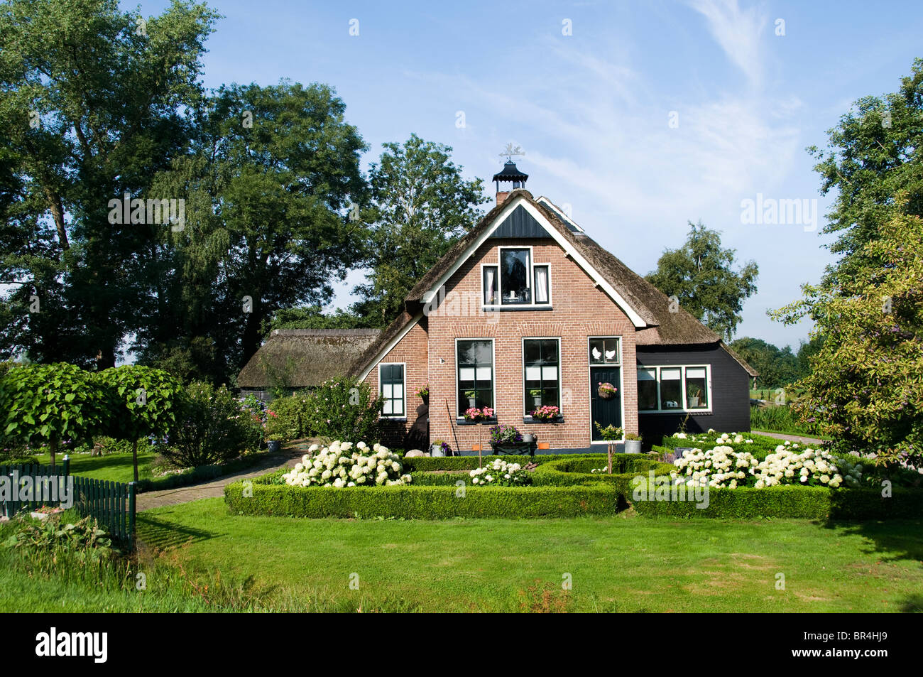 Weerriben Friesland Fryslan Paesi Bassi Farm Foto Stock