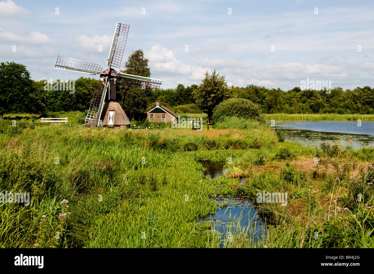 Weerriben Friesland Fryslan Olanda Mulino a vento Foto Stock
