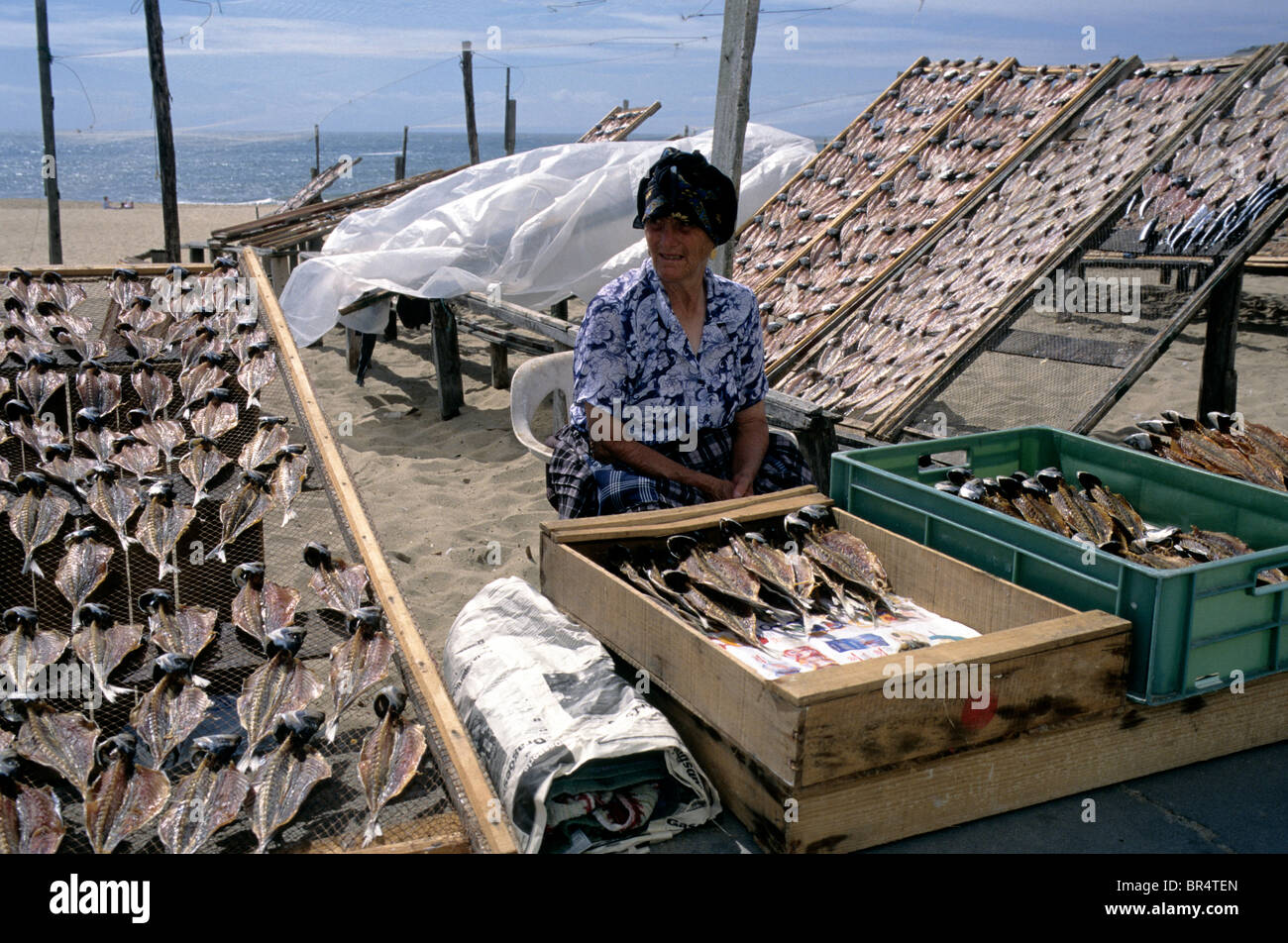 Una donna anziana la vendita di secchi, salati del pesce in un cavalletto sul lungomare della città costiera di Nazaré, Portogallo. Foto Stock