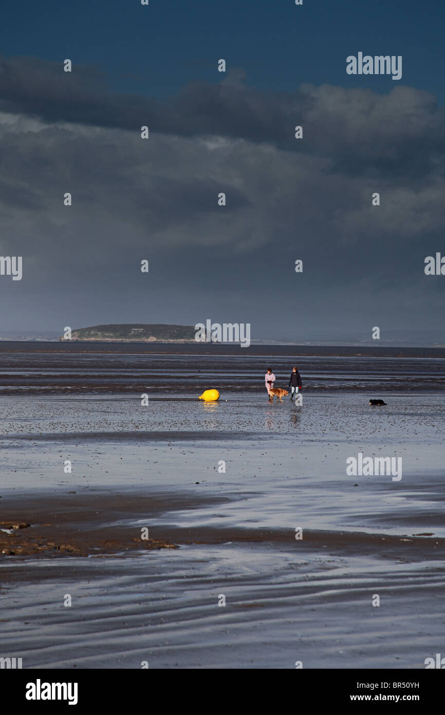 Dog walkers a bassa marea a Berrow sul Canale di Bristol costa, Somerset, Inghilterra, Regno Unito. Ripida Holm island oltre Foto Stock