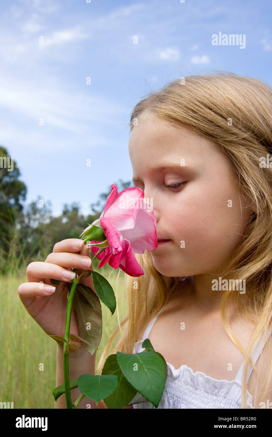 Bambina odorare una rosa rosa Foto Stock