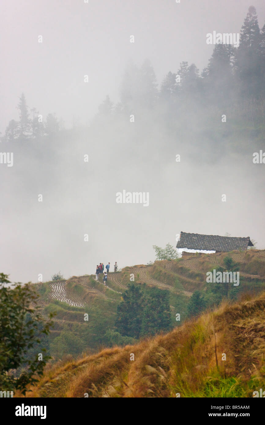 Terrazze di riso in montagna nella nebbia, Longsheng, Guangxi, Cina Foto Stock