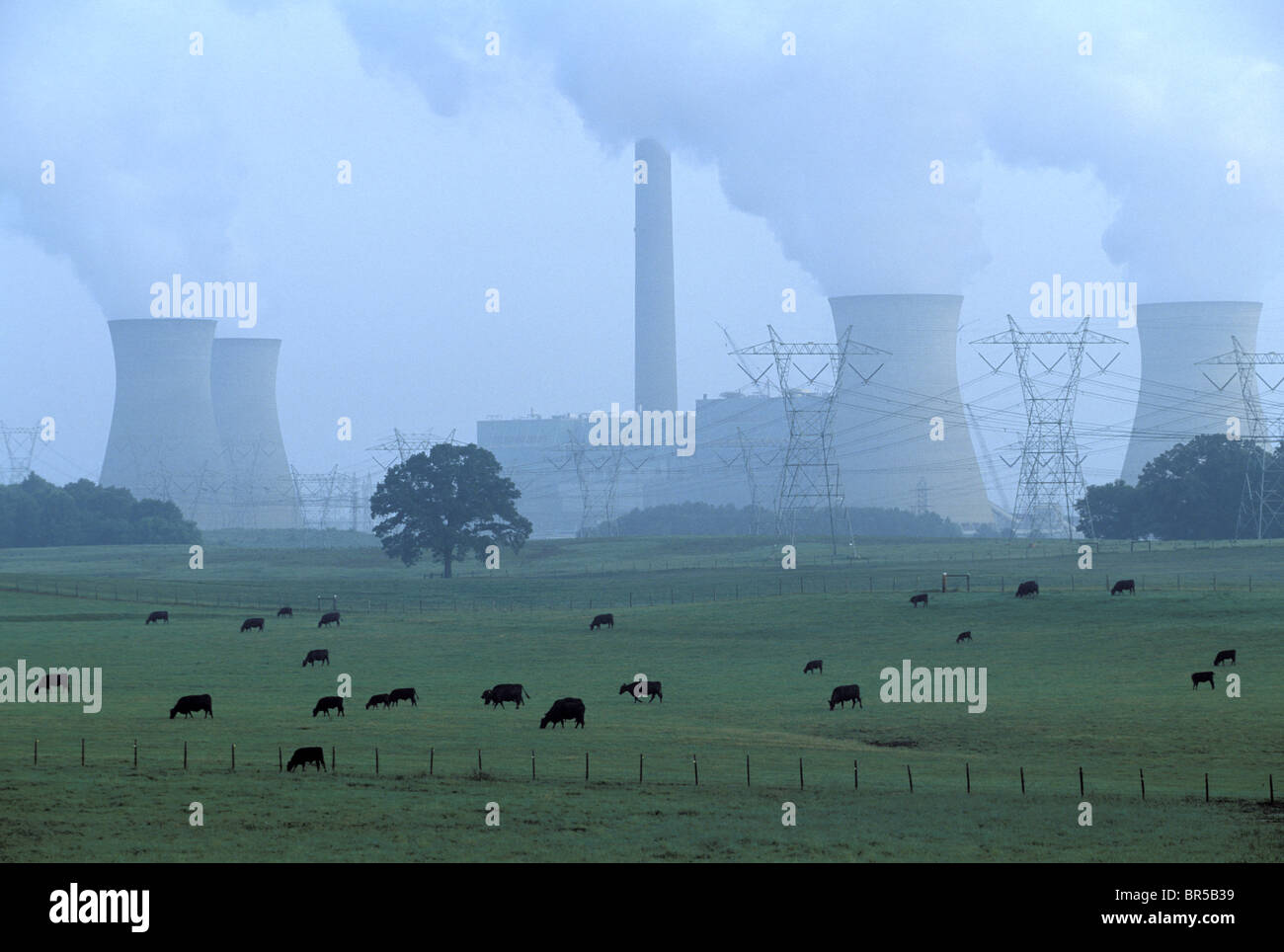 Ciclo del carbonio Foto Stock