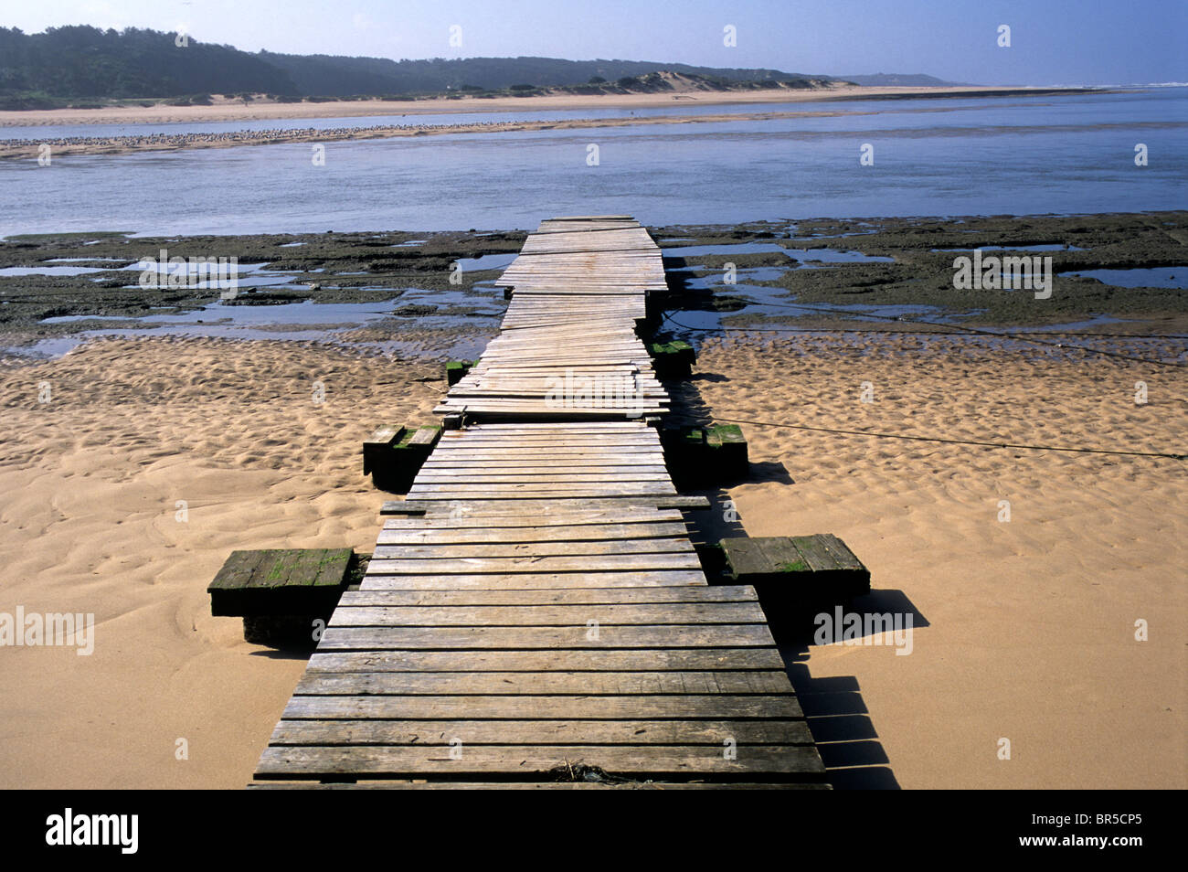 La bocca dell'estuario mira a Vila nova de Milfontes, nel sud del Portogallo Alentejo provincia. Foto Stock