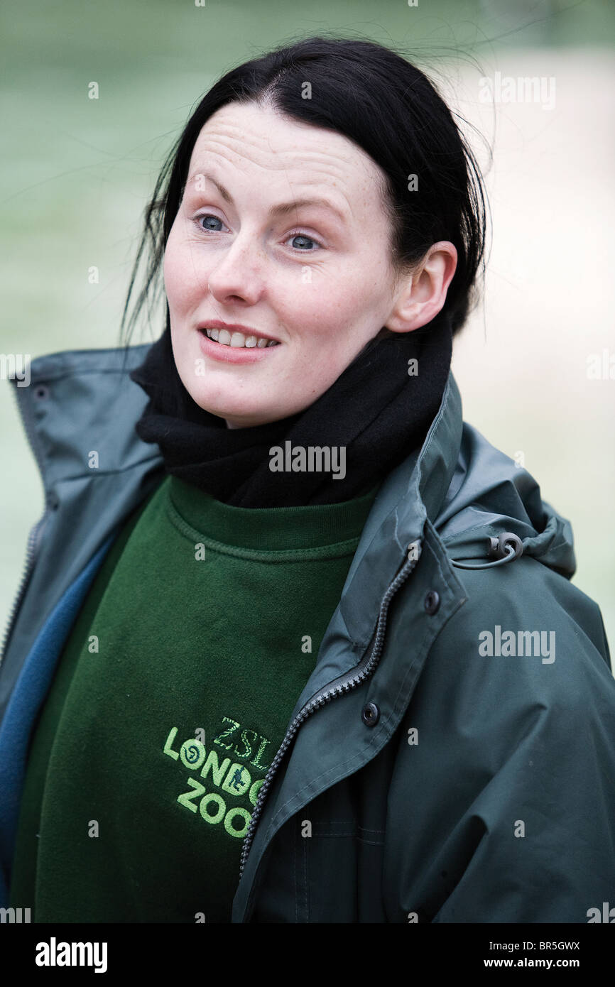 Kelly, uno zoo keppers, dopo alimentazione dei pinguins, sta parlando con alcune persone di rispondere ad alcune domande Foto Stock
