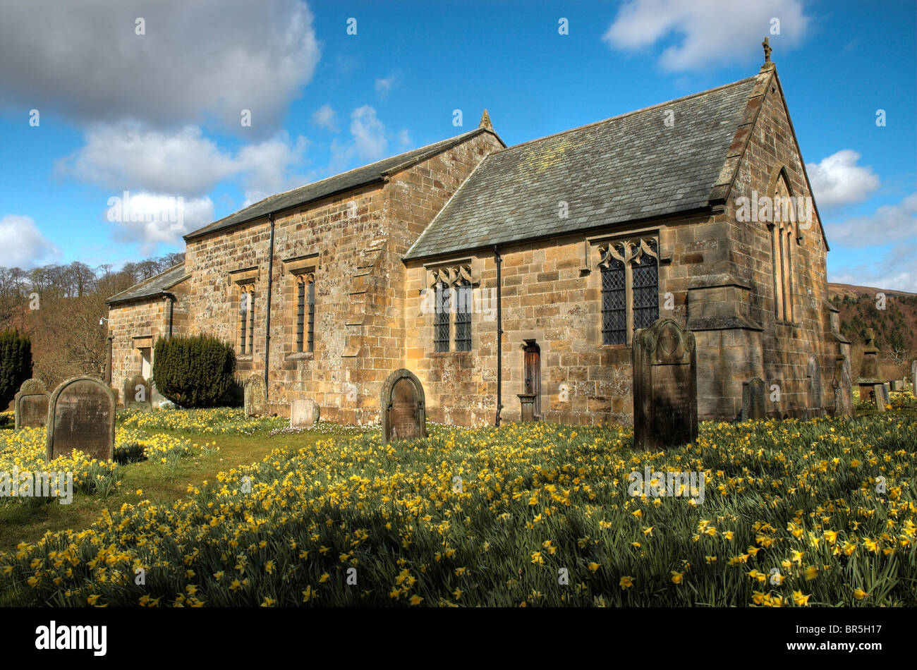 Chiesa di Farndale 'St di Maria, circondato da narcisi. North York Moors Foto Stock