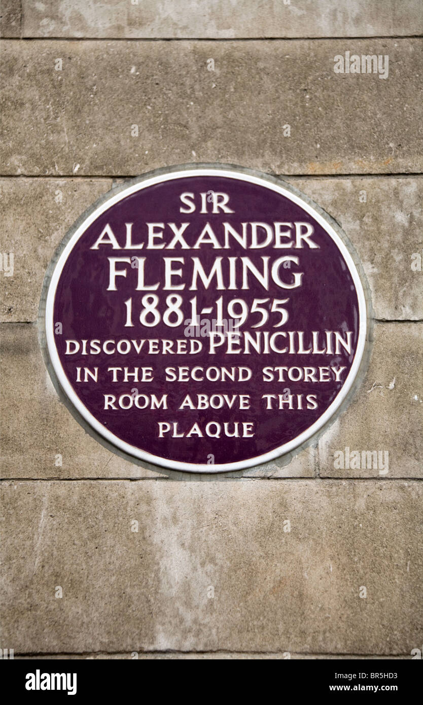 La placca sul muro di Saint Mary's Hospital, Paddington, per contrassegnare la scoperta della penicillina da Alexander Fleming. Praed Street. Foto Stock