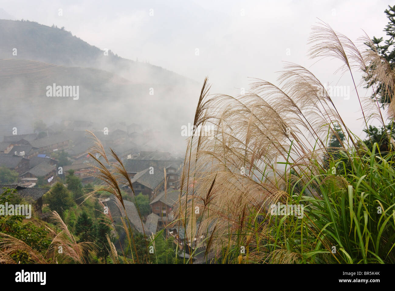 Case di villaggio in montagna nella nebbia, Longsheng, Guangxi, Cina Foto Stock