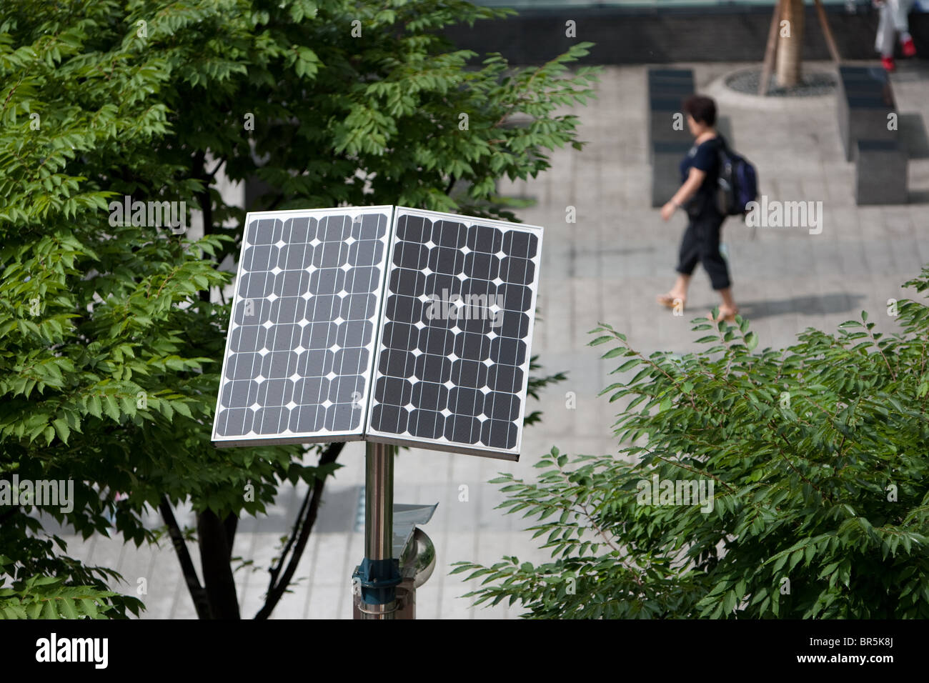 Pannello solare illuminazione stradale in Seoul, Corea del Sud, venerdì 27 agosto 2010. Foto Stock
