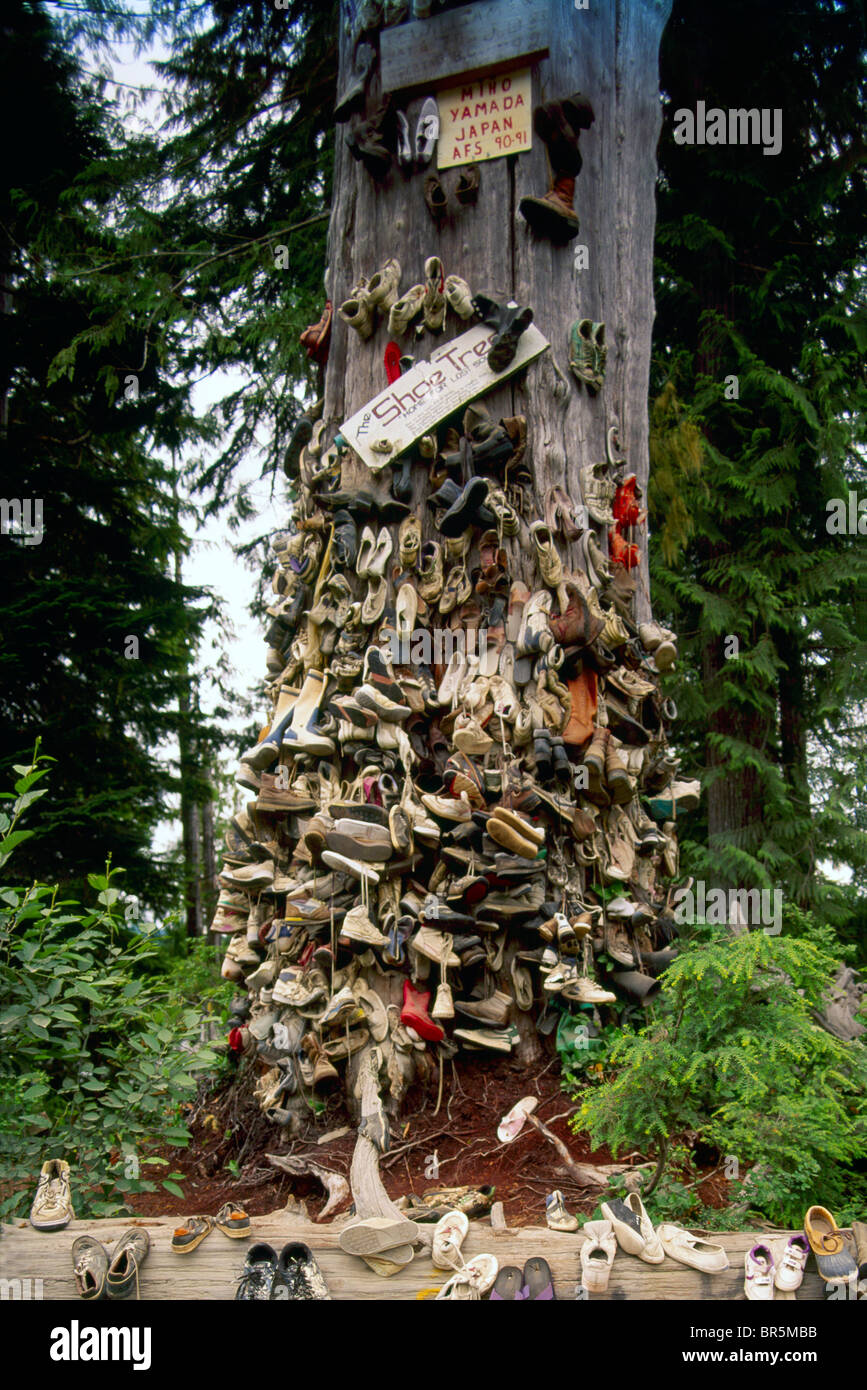 Scartare le scarpe chiodate alla struttura di pattino dopo escursioni in Cape Scott Provincial Park, l'isola di Vancouver, BC, British Columbia, Canada Foto Stock