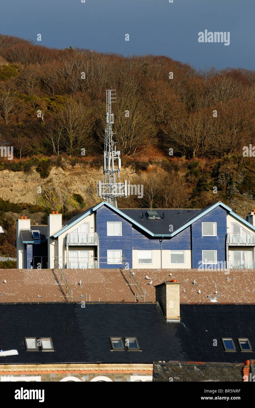 Telefono cellulare il montante con Tetra installazione in una zona residenziale di Aberystwyth, Galles. Foto Stock