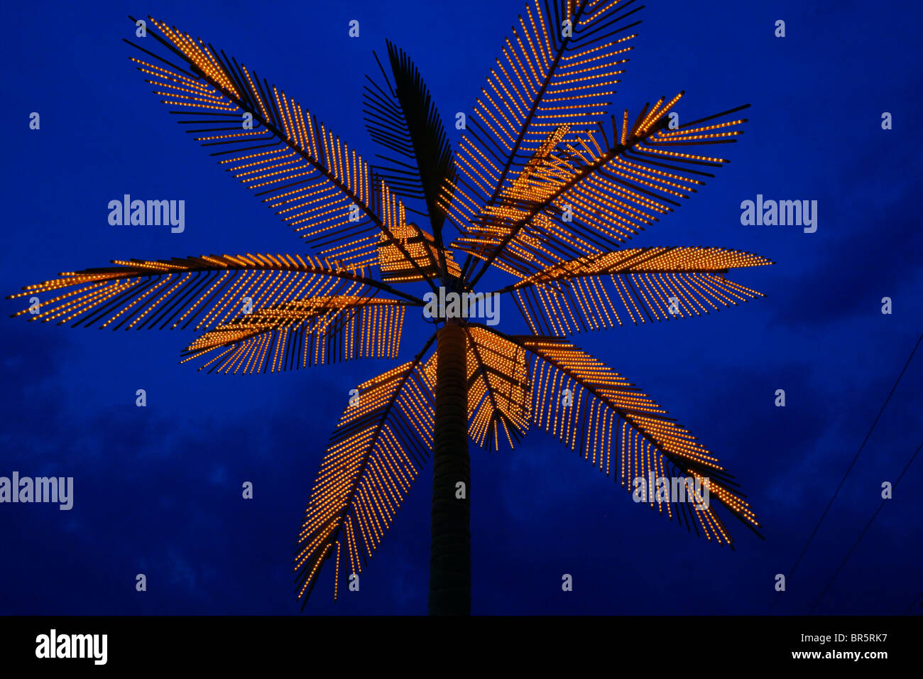 Palma illuminata e giostre al tramonto a Cape Girardeau, Missouri. Le luci festive si illuminano contro il cielo crepuscolo in fiera. Foto Stock