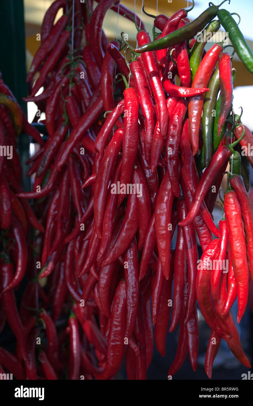 Peperoncino rosso appeso a un fruttivendolo, in vendita a Bardolino, Lago di Garda, Italia Foto Stock