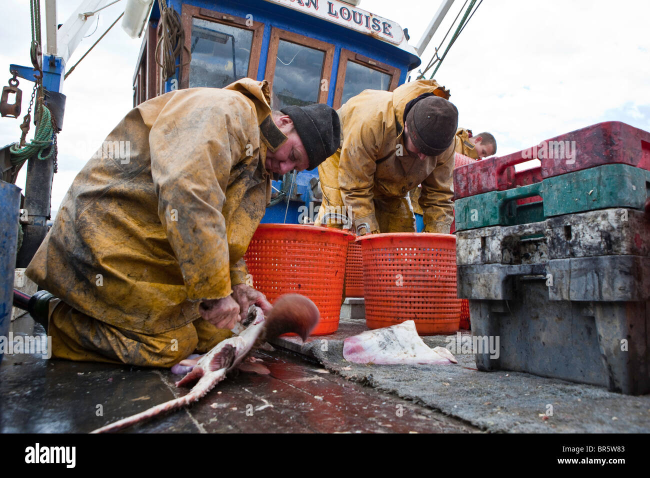 I pescatori lo smistamento delle loro catture fuori a bordo della loro imbarcazione attraccata a Hastings. Foto Stock